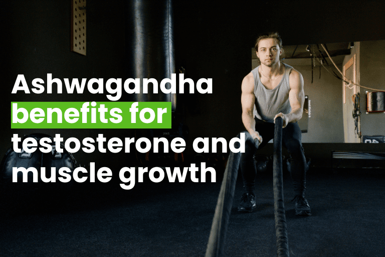 Ashwagandha benefits for testosterone and muscle growth