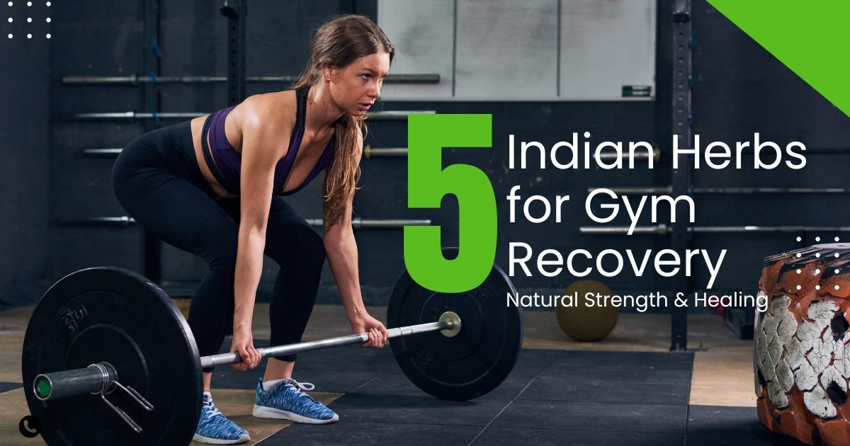 Indian herbs for gym recovery and muscle strength