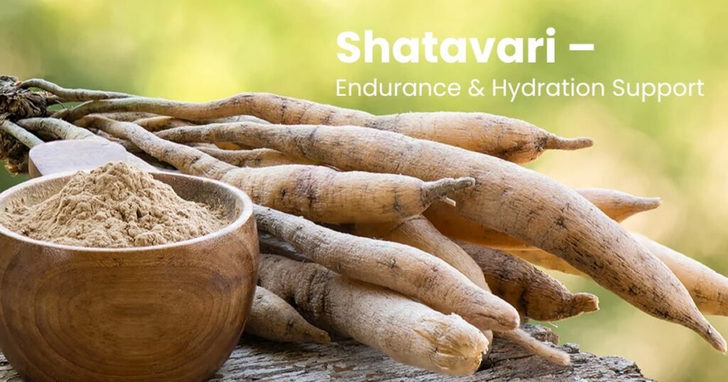 Indian Herbs for Gym Recovery
