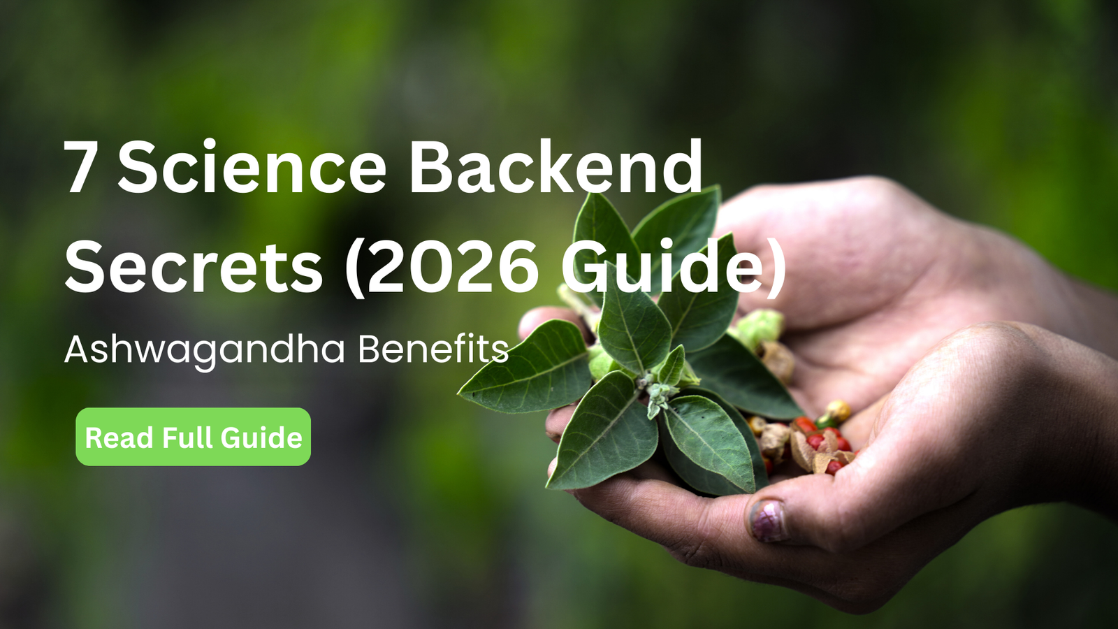 Ashwagandha Benefits